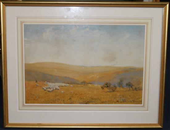 Robert Thorne Waite (1842-1935) The Sussex Downs 14 x 21in.